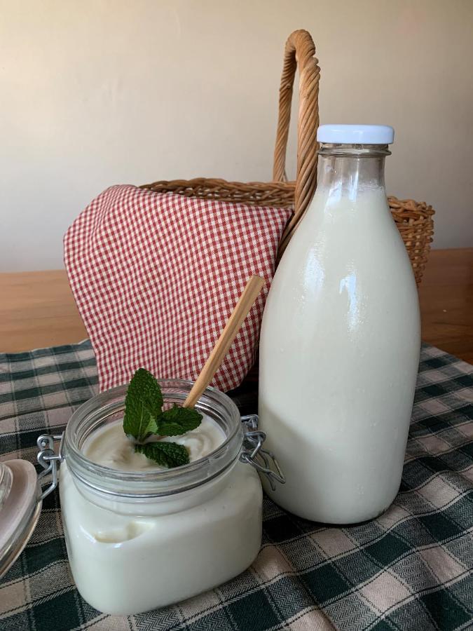 Malgas Potteberg Guest Farm 아파트 외부 사진